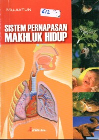 Image of Sistem pernapasan makhluk hidup